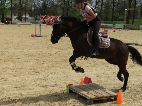 Huzt 25 L.Simader (2)